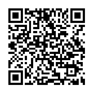 已足够癫癫博士完成好几次完全自愈了……届时二维码生成