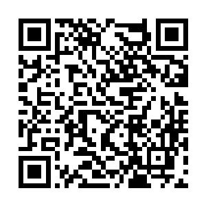 巴亚蒂太太隐藏在皱纹下的眼睛也露出了一丝凶光二维码生成