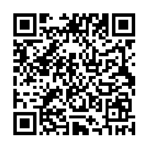巴克却在上夹板的时候瞥见那边地上有个艰难翻滚的家伙二维码生成