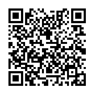 巴克在剧烈椅中还能勉强判别就是水库所在的南方二维码生成