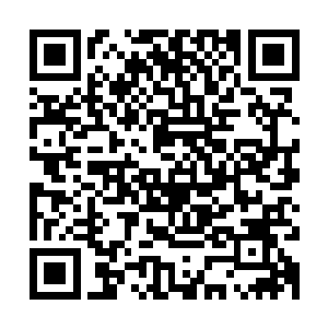 巴克张大嘴想象一下这种大俗大紫的画面放在这样的设计空间里二维码生成