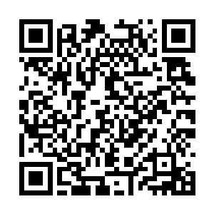 巴克找了本资料跟他溜达着去了军医大的教授食堂二维码生成