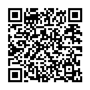 巴克知道这小子以前在热带雨林里就是打猎好手二维码生成