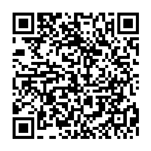 巴克立刻就联想到所谓阿拉伯之春这一系列爆发在中东国家内的各种政变内乱二维码生成