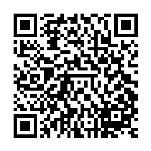 巴克终于反应过来为什么会从军事基地就要求他带上三级医疗包二维码生成