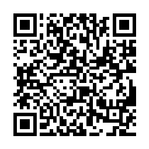 巴克自己就完全照着牟晨菲给他结婚时候那种安排穿二维码生成