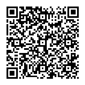 巴克连去马哈代夫参加好几次青年城招标发布会的行程都交给了其他建筑师来完成二维码生成