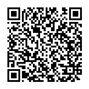 巴克都琢磨要不要回头让刘淑芬跟丈母娘们组团一起到香港来旅游二维码生成