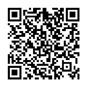 巴塞罗那俱乐部邀请黛玻菈去巴塞罗那进行面谈二维码生成