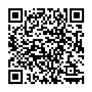 巴小三甚至跑到最后面的真皮沙发上乐呵呵的打了个滚二维码生成