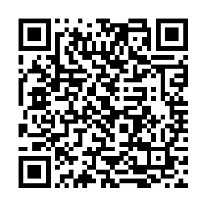 巴尔赫居住的山谷是枯叶长廊上一个颇为险要的地势二维码生成