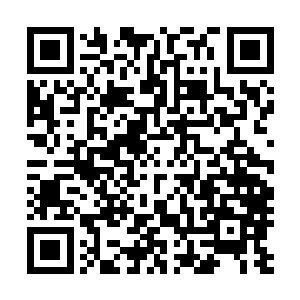 巴布鲁环视擂台上剩下这大概在三百人左右人的参赛者们时二维码生成