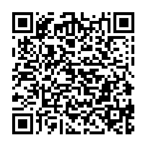 巴松可能是觉得这样一群游客打扮的家伙站在路边是不是有点醒目二维码生成