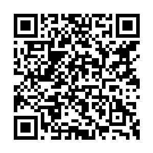 巴西的球员们纷纷从呆若木鸡的状态中回过神来二维码生成