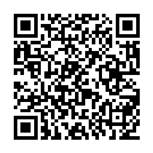 巴西的球队已经有多久没有在阿根廷赢过比赛了二维码生成