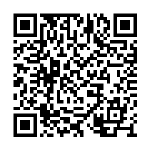 巴里看到的贝海谷仓旁边还有一堆子干植株茎杆二维码生成