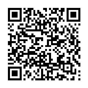 市委书记周天鸿要亲自带领市委市政fu的工作人员二维码生成