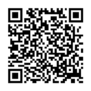 市委的秘书班里最近也有不少秘书在旁敲侧击这方面消息二维码生成