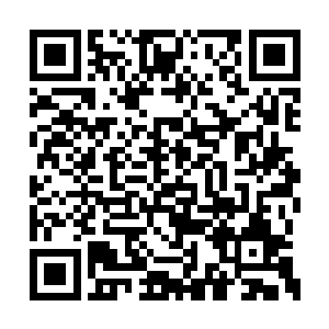 市文化局是无法拿出让市委市政府满意的答卷的二维码生成