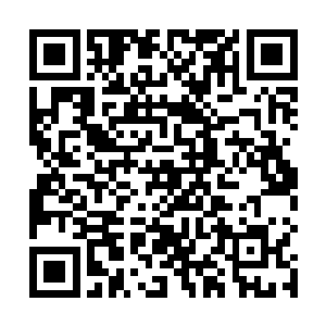 市民们第二天早上看到广告栏和城墙外面的宣告的时候二维码生成