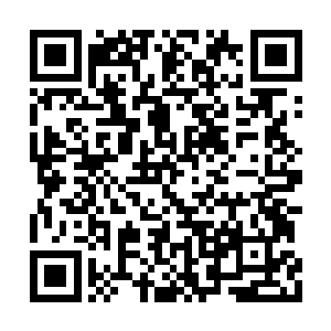 市里的领导答应暂时先把劣质水泥的事情压下去二维码生成
