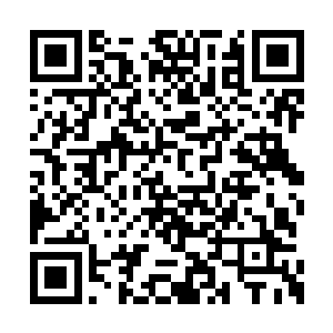 市里边的确是确定了不再替这几家企业担保贷款二维码生成