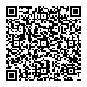 布兰奇的恋情增加了不少关注度――他们的相恋应该是今年年底娱乐圈受到关注的大事件之一了二维码生成