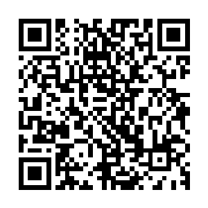 布尼老板除了交代任务以外根本没有时间和基地上原本的人交流二维码生成