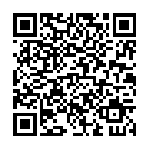 布莱克浦这样的升班马都给曼城制造了巨大的麻烦二维码生成