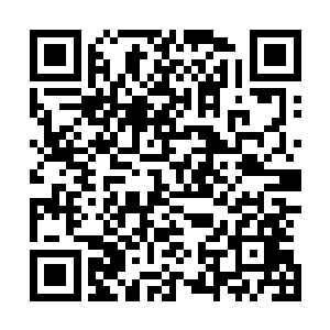 布鲁克家族的家主就此陨落也算是帮着杜维解决了一个敌人二维码生成