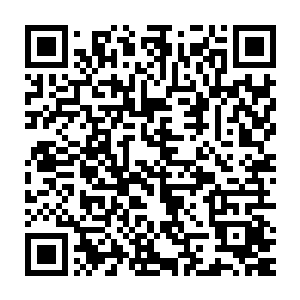 布鲁尔你看到右手边的一条小溪了么将你手中的那一抔土撒到小溪里二维码生成