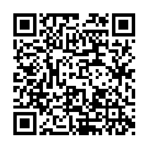 布鲁斯把给伊凡输过血的几个人挨个指了一边后二维码生成