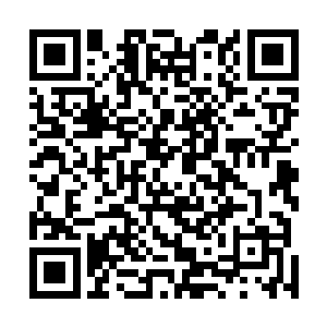 师丞相没想到眼前这个医圣只因为面子问题就要杀人灭口二维码生成