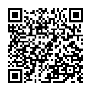 师傅见到她的第一件事情就是狠狠的给了她一个耳光二维码生成