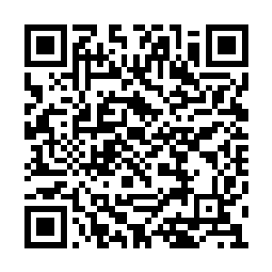 师叔和长生以及苗老汉他们这些人在后面帮着我二维码生成