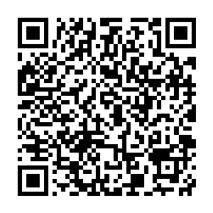 师叔直接打电话托青海这边的人连夜开车来这山窝窝里将白猫带回去二维码生成