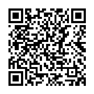 师父也把你们天道城叫做伪混沌境但他说你们这个是自己开辟的二维码生成