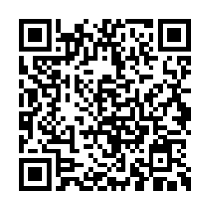 师父拿着桃木剑对着那些藤子柳条就是一阵猛砍二维码生成