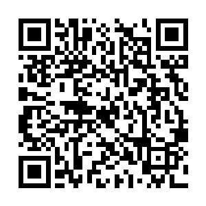 希姐你暂时把商业上的事情交给小舅舅和伏舟来做二维码生成