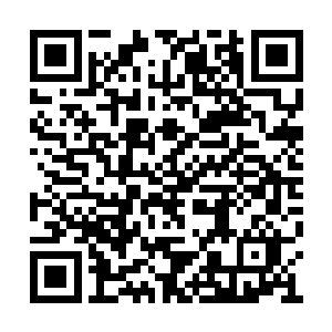 希斯那有些神经质的性感要比萨尔维更有吸引力二维码生成