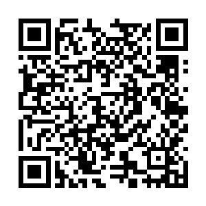 希望你们家族别嫌弃你带回来一个残废的骑士就好二维码生成