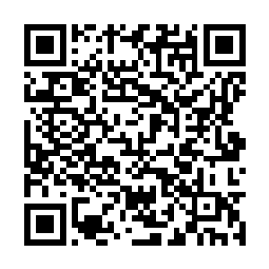 希望将这群不懂礼貌的妖蛟兽族群驱赶出无边绿海二维码生成