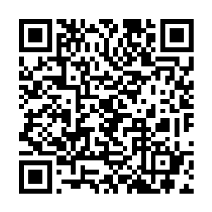 希望师父和师姐在天之灵能够原谅那些犯下罪孽的人二维码生成