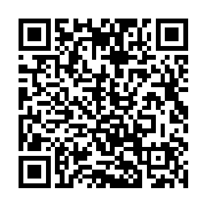 希望您们佣兵之城不要干预我们十大守护家族的事情二维码生成