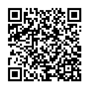 希望欧洲的电影节能够对来自中国的电影给予更多的支持和鼓励二维码生成