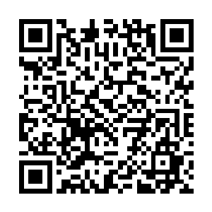 希望港是当年仙人发现东州时踏上的第一块土地命名二维码生成
