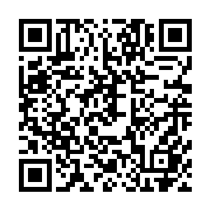 希望能在他们那里获得解决黄鸾身上那同生共死秘术的问題二维码生成