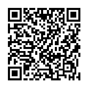 希望能在华国的另一边建立起自己的势力能南北夹击华国二维码生成