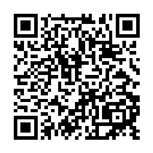 希望自己可以在这个时候对香奈儿美女进行到帮助二维码生成