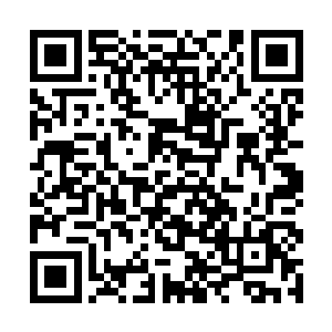 希望苗毅不是沾了夏侯龙城那不靠谱的光弄回的成绩二维码生成